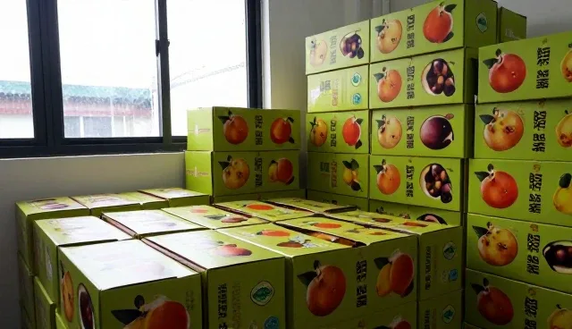 分级包装如何提升网络产品性能与适用条件